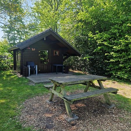 Camping Alkenhaer Appelscha Blokhut Basic Exterior photo